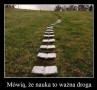 Drogi nauki